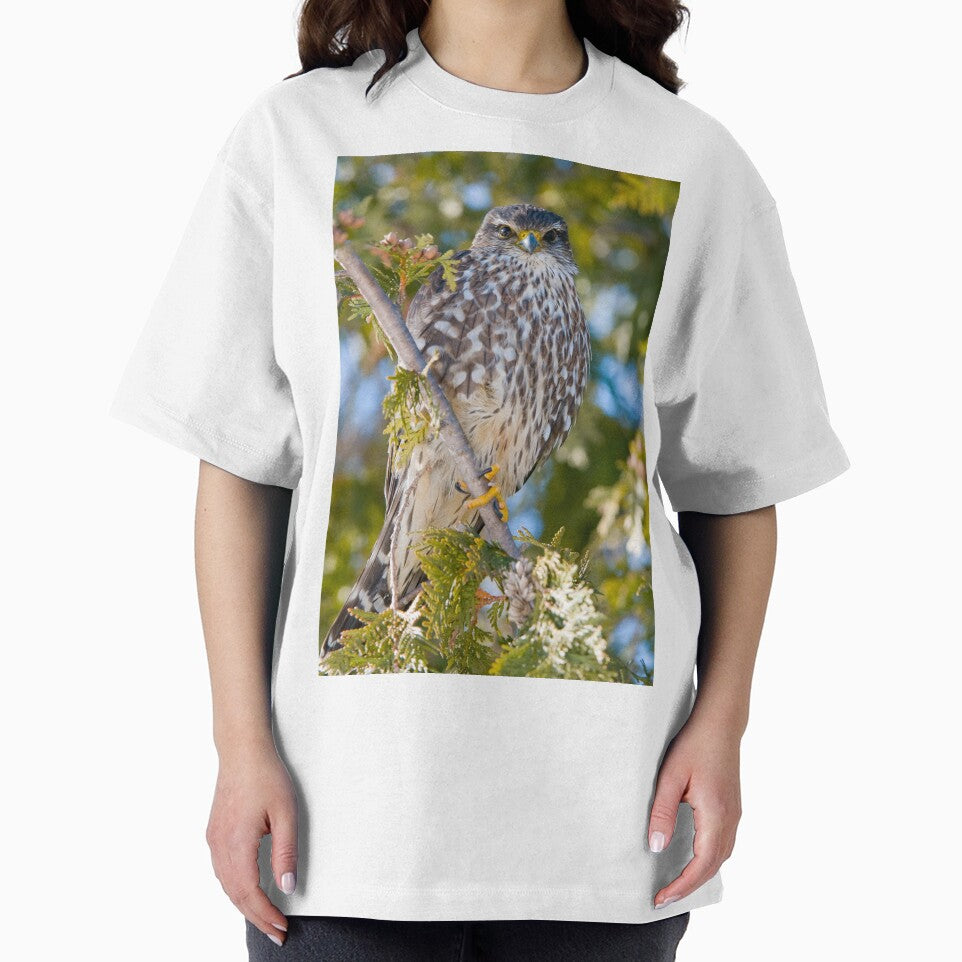 Merlin Falcon by Michael Cummings T-Shirts, Hoodie, Sweatshirt | BlankRebels.com (Image 2)