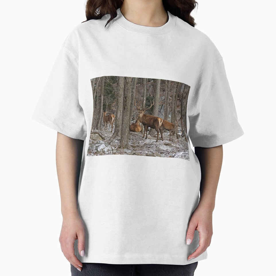 Elks In The Woods by Michael Cummings T-Shirts, Hoodie, Sweatshirt | BlankRebels.com (Image 2)