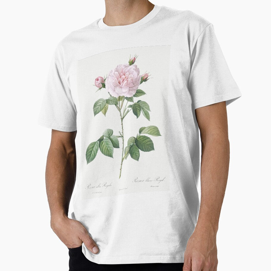 Rosa × alba - White Rose Illustration by FloraObscura T-Shirts, Hoodie, Sweatshirt | BlankRebels.com (Image 1)