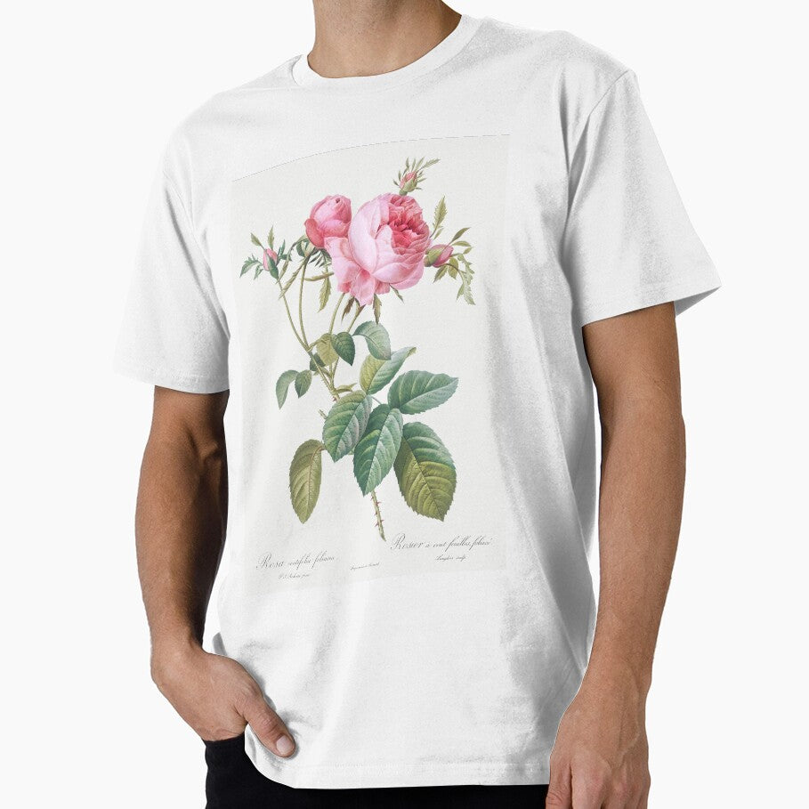 Rose de Mai - Cabbage Rose Illustration by FloraObscura T-Shirts, Hoodie, Sweatshirt | BlankRebels.com (Image 1)
