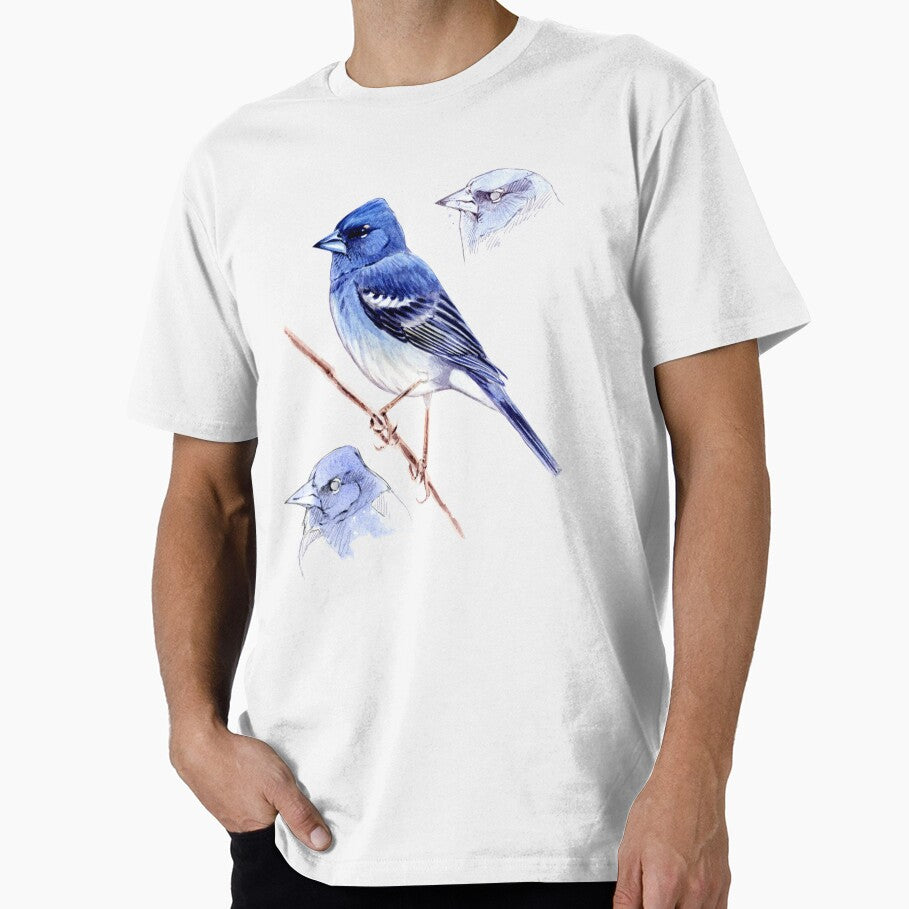 Blue Finch & Sketches by avestrazos