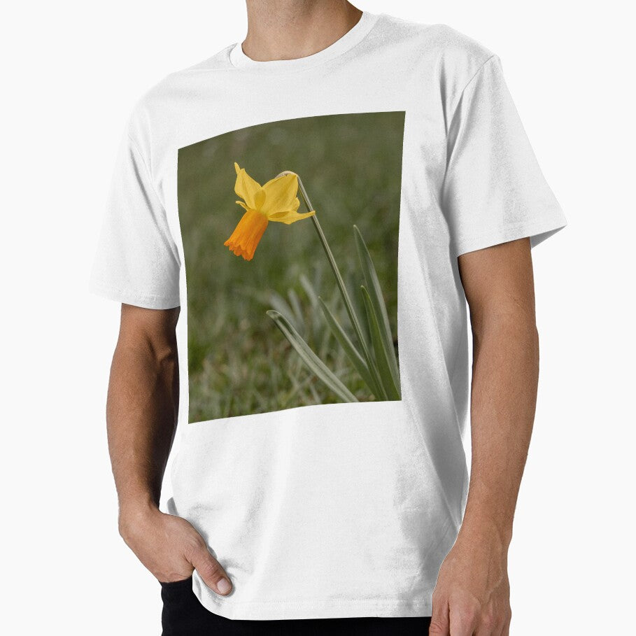 Daffodil by MS.photo