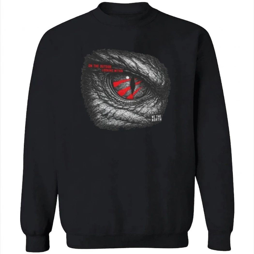 On the Outside Looking Within Toronto Raptors Playoffs Shirt