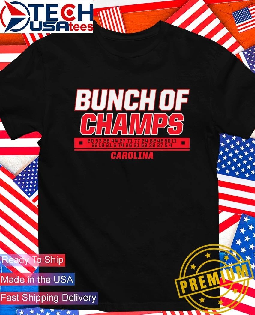 Bunch of Champs Carolina Hurricanes Hockey 2026 shirt