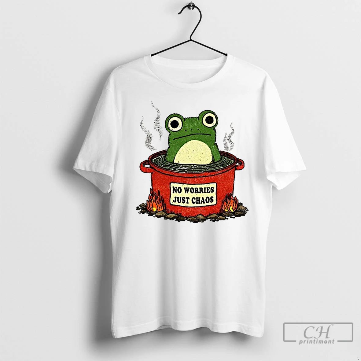 Classic Frog No Worries Just Chaos Funny Meme