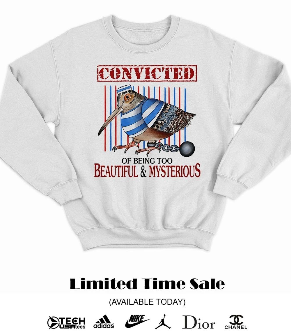 Woodcock convicted of being too beautiful and mysterious shirt