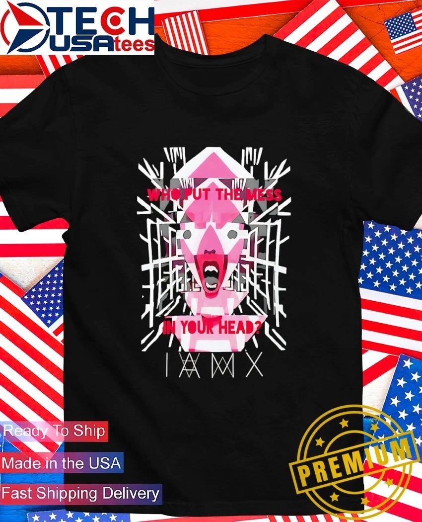 Who put the mess in your head shirt