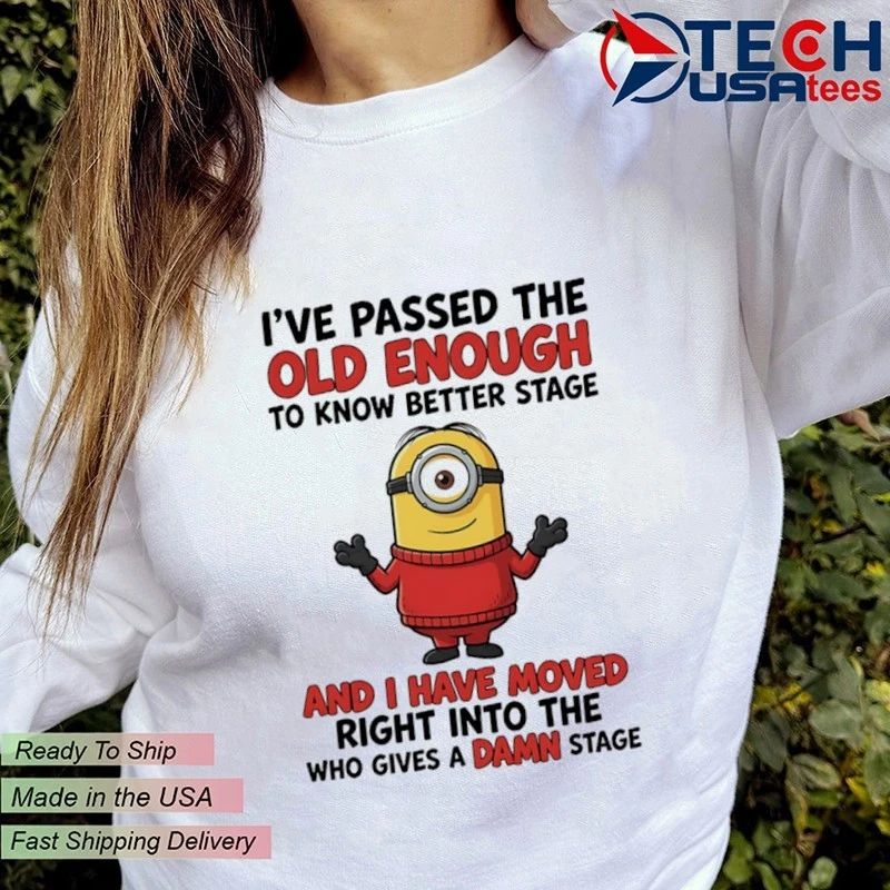 Minion I’ve passed the old enough to know better stage and I have moved right into the who gives a damn stage shirt
