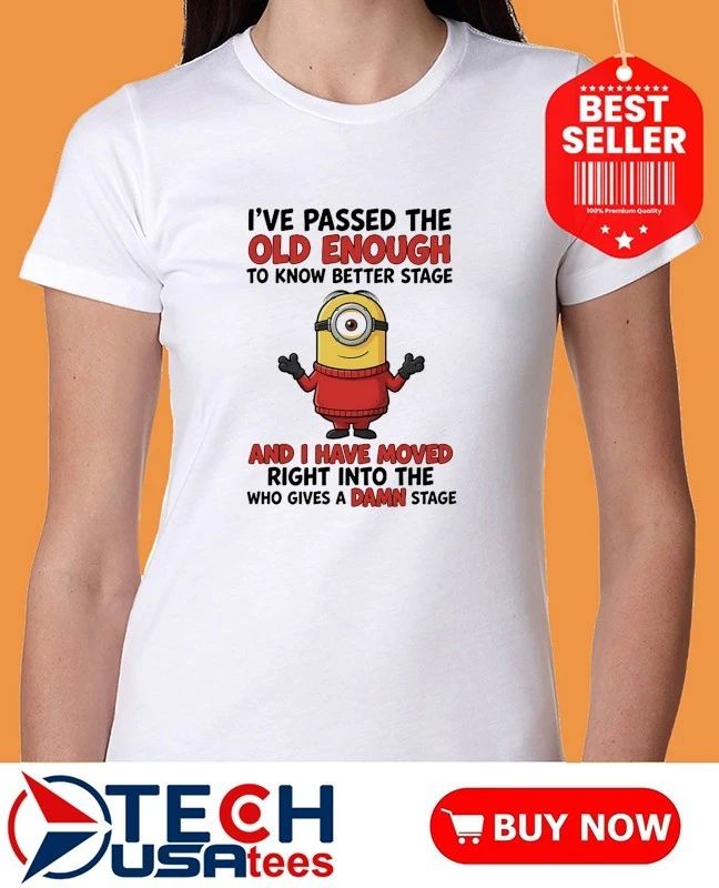 Minion I’ve passed the old enough to know better stage and I have moved right into the who gives a damn stage shirt